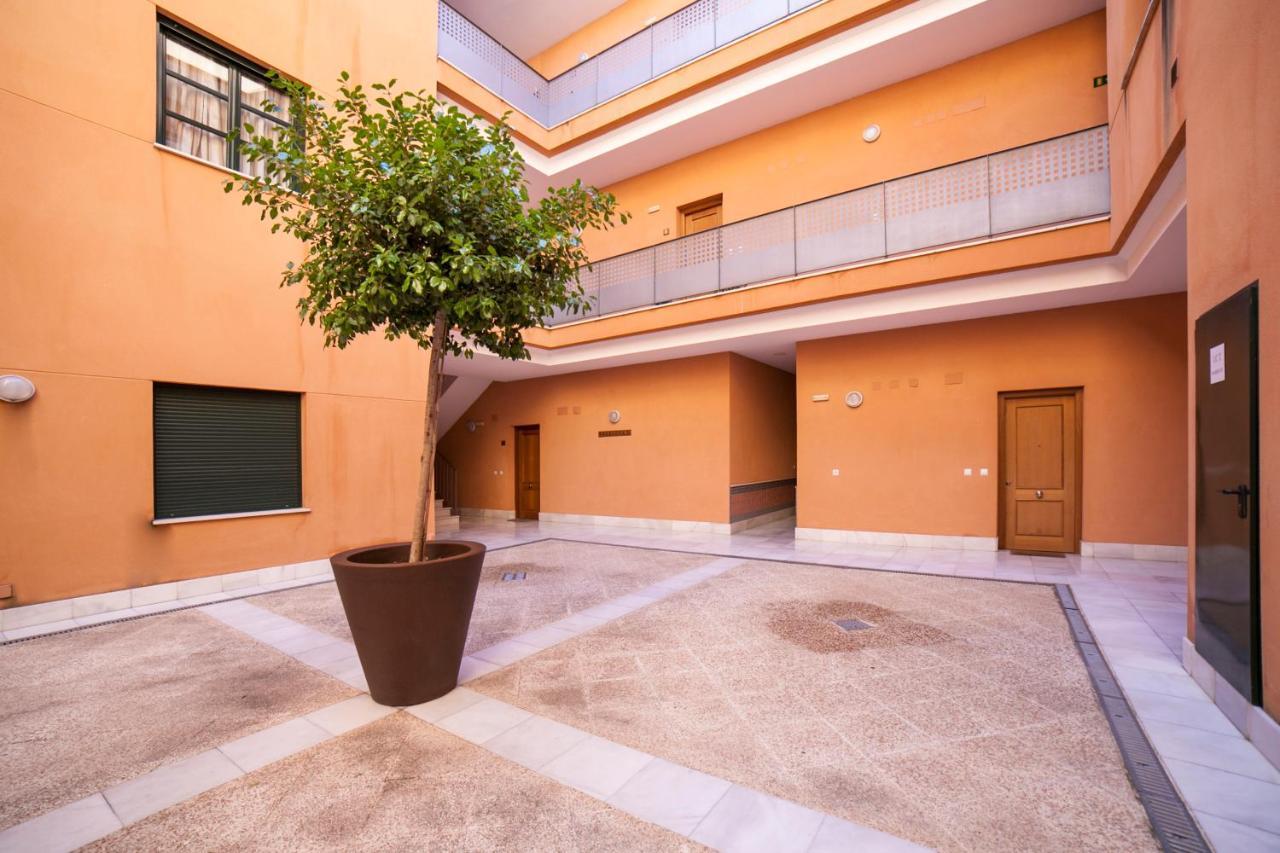 Alohamundi Zaragoza, Seville